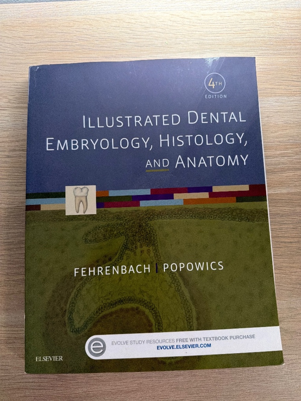 Illustrated dental embryology, histology, and anatomy 4th edition